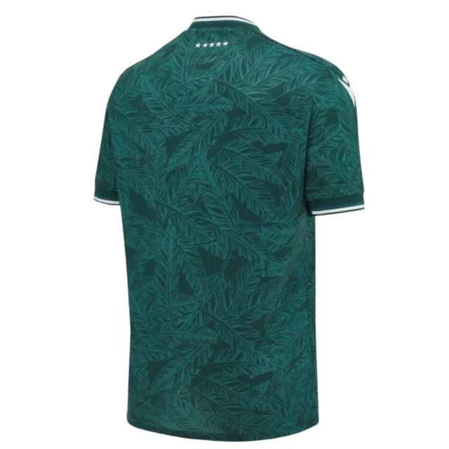 Camiseta Santiago Wanderers 24-25 - Primera Equipación