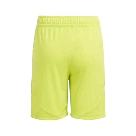 Short Shorts Arsenal Portero 24-25 - Hombre
