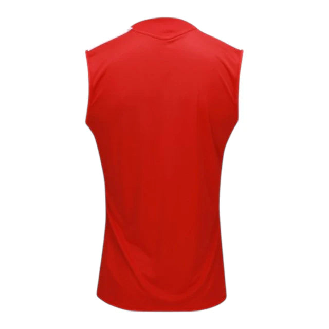 Camiseta de Entrenamiento sin Mangas Internacional 26-27