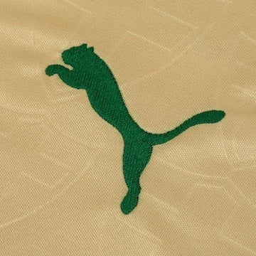 Camiseta Palmeiras 24-25 - Tercera Equipación