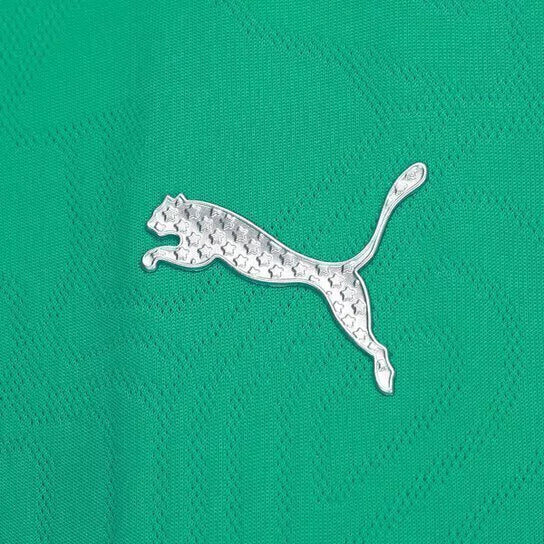 Camiseta Palmeiras 25-26 Mujer