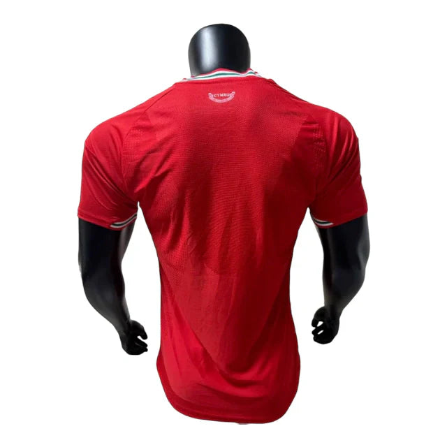 Camiseta Seleção Pays de Galles Jugador 26-27 - Primera Equipación