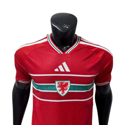 Camiseta Seleção Pays de Galles Jugador 26-27 - Primera Equipación