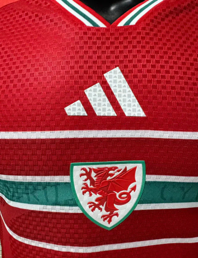 Camiseta Seleção Pays de Galles Jugador 26-27 - Primera Equipación