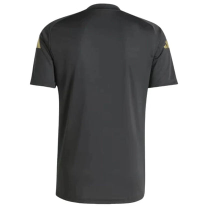 Camiseta Pre-Partido Seleção da Argentine 24-25