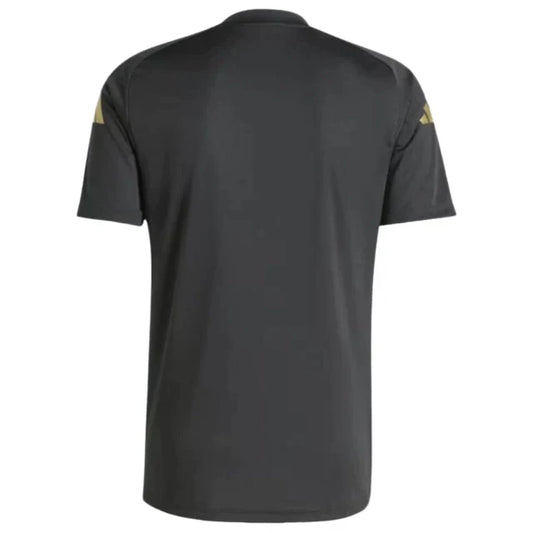 Camiseta Pre-Partido Seleção da Argentine 24-25