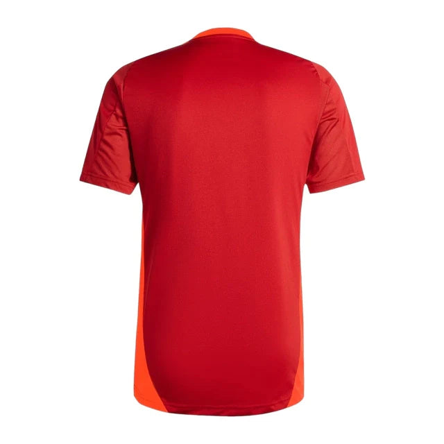 Camiseta Bayern de Munich Champions League 24-25