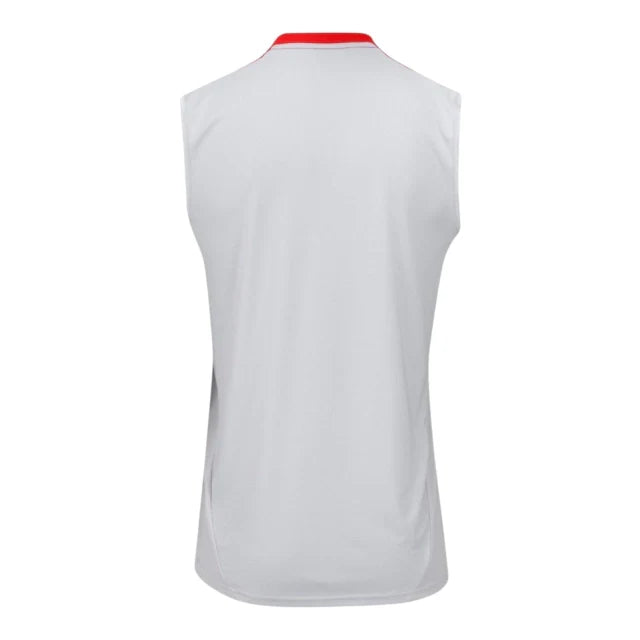Camiseta de Entrenamiento sin Mangas Internacional 25-26