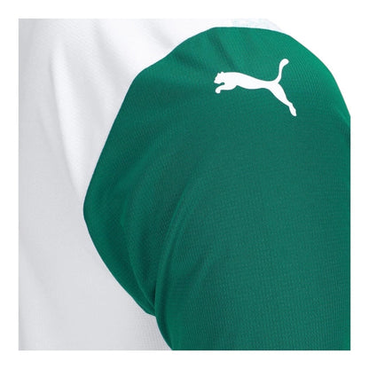 Camiseta Palmeiras 25-26 - Segunda Equipación